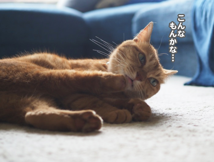 1日夕ブログ７
