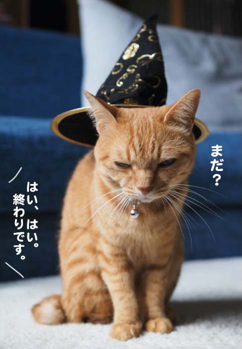 31日夕ブログ１３