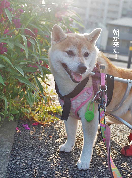 7日ブログ２