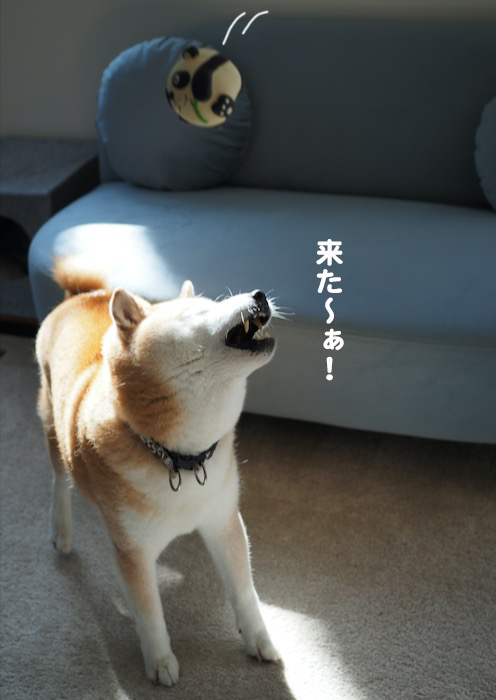 2日夕ブログ８