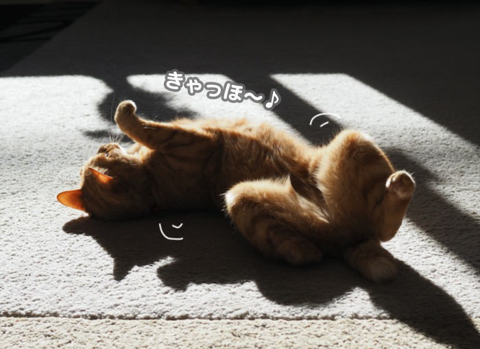 12日夕ブログ４