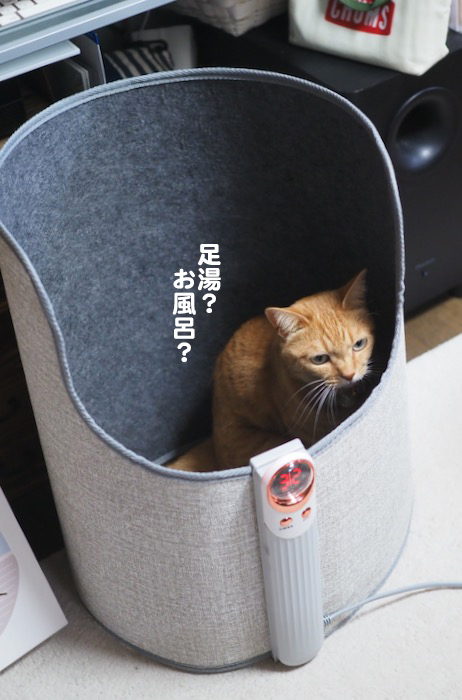 4日夕ブログ５