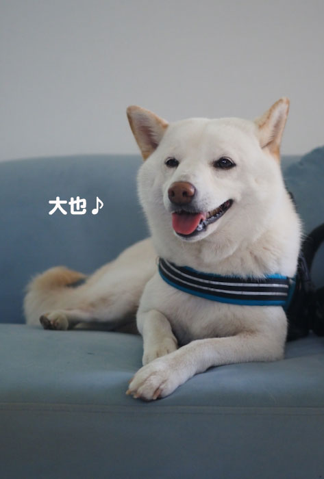 10日夕ブログ２
