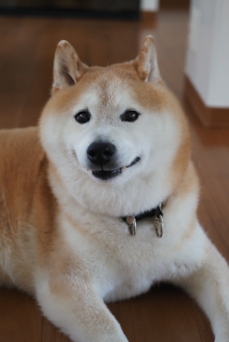 4日ブログ２