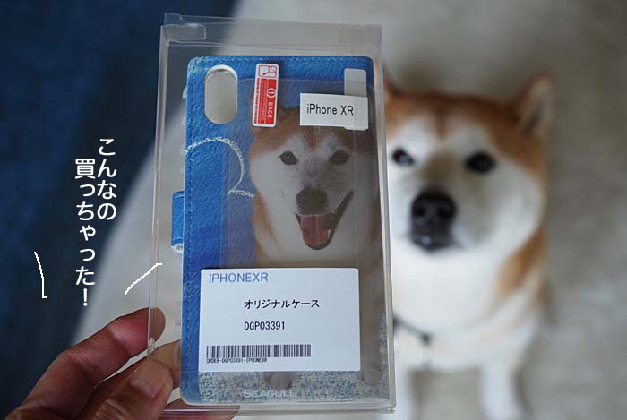17日ブログ５