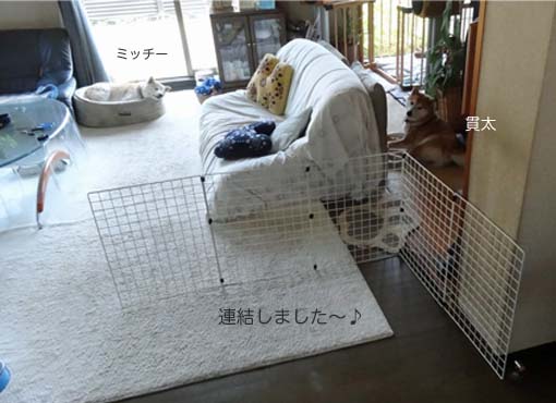 27日ブログ6.jpg