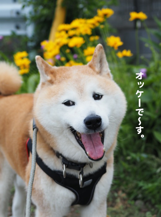 22日夕ブログ７