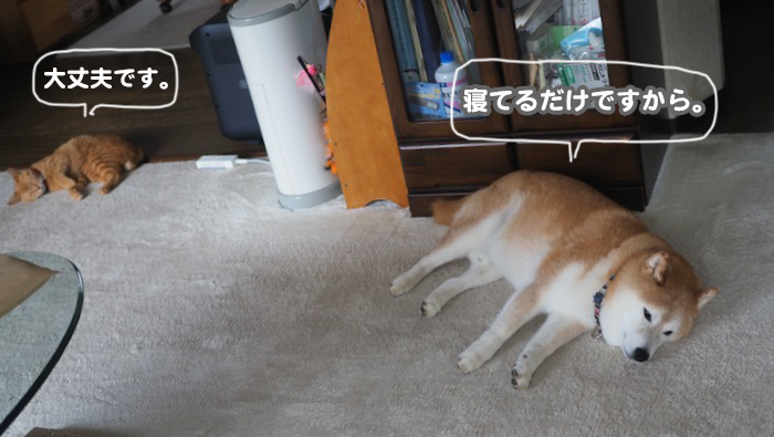 17日午前ブログ１