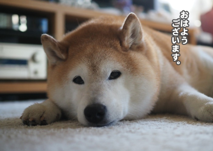 17日ブログ4
