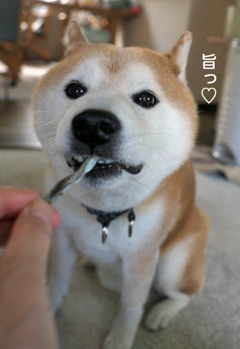 20日夕ブログ４
