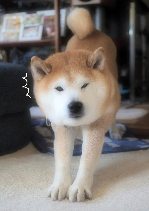23日ブログ４