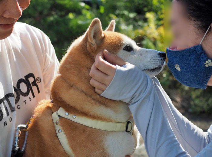 13日ブログ９