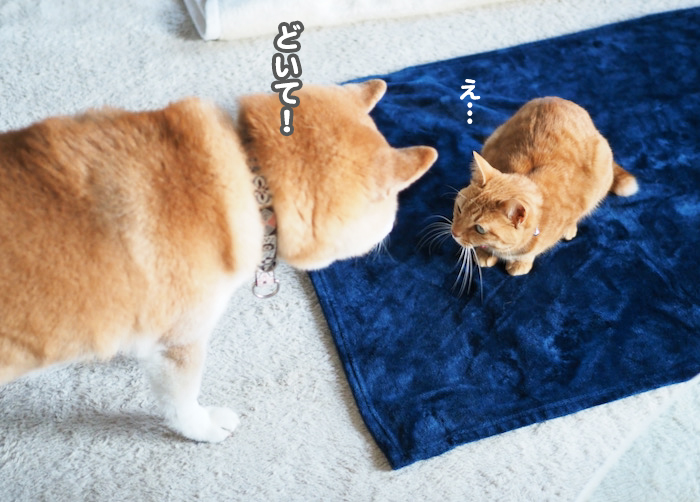 27日夕ブログ８