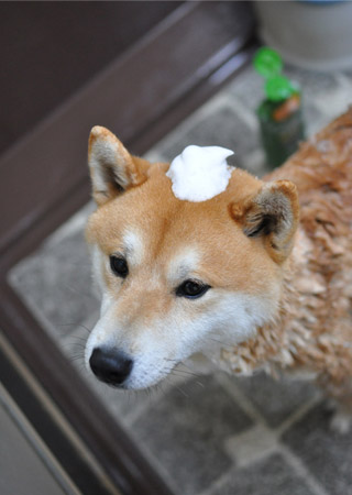 7日ブログ１０.jpg