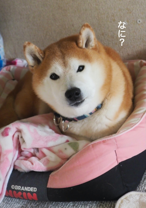 9日ブログ２
