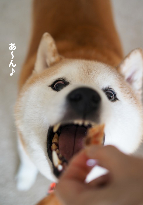 14日夕ブログ５