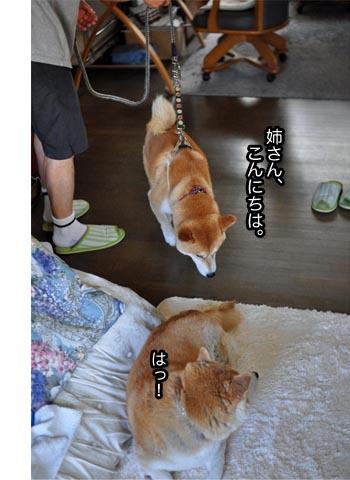23日ブログ9.jpg