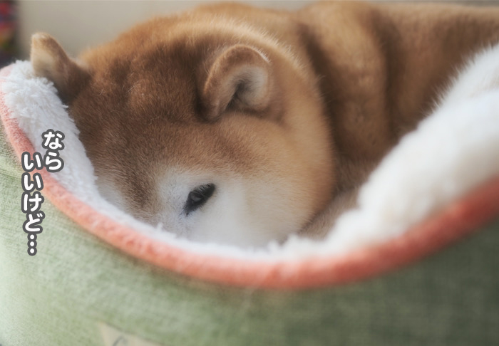 10日ブログ３