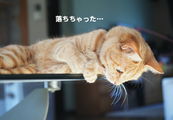 4日夕ブログ１７