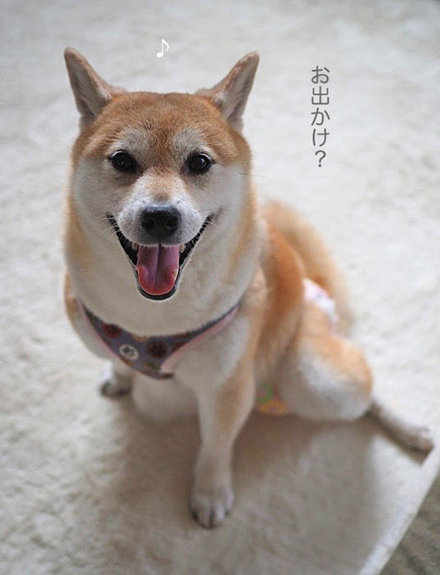 30日朝ブログ１