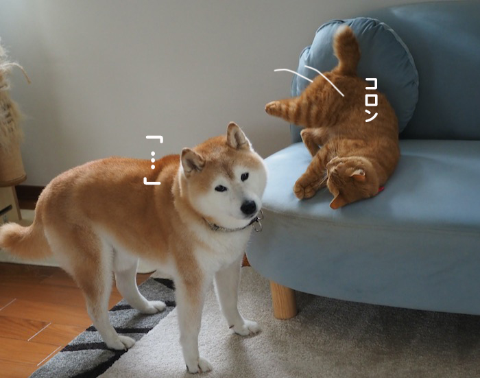13日夕ブログ３
