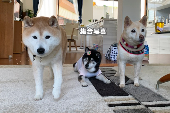 23日夕用１０