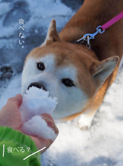 27日ブログ4