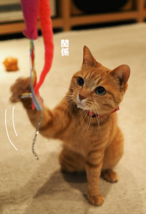 7日ブログ３