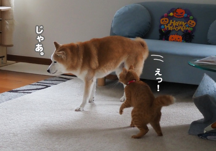 1日夕ブログ１２