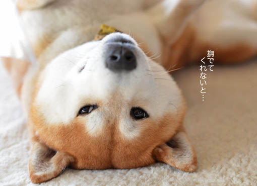 28日ブログ4.jpg