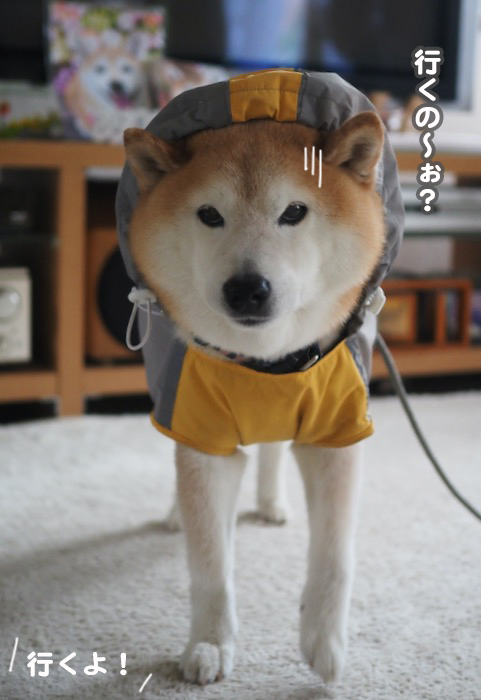 19日ブログ３