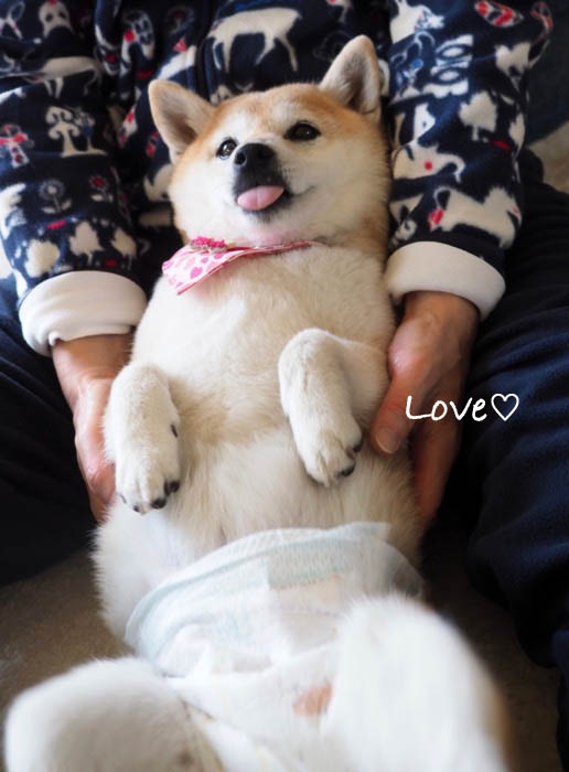 14日夜ブログ７