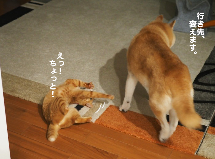 15日夕ブログ７