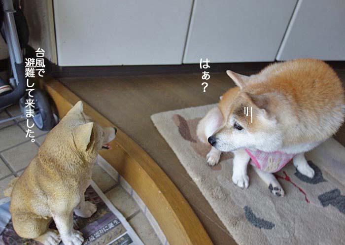9日昼ブログ４