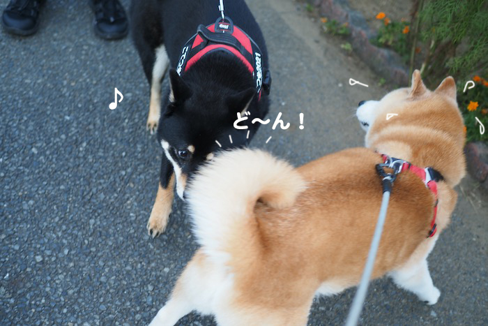 26日ブログ３