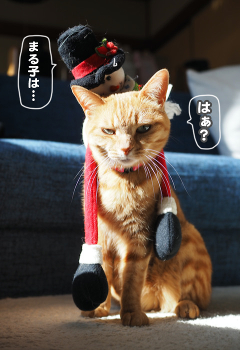 21日ブログ２