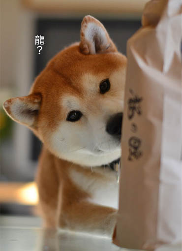 24日ブログ8.jpg