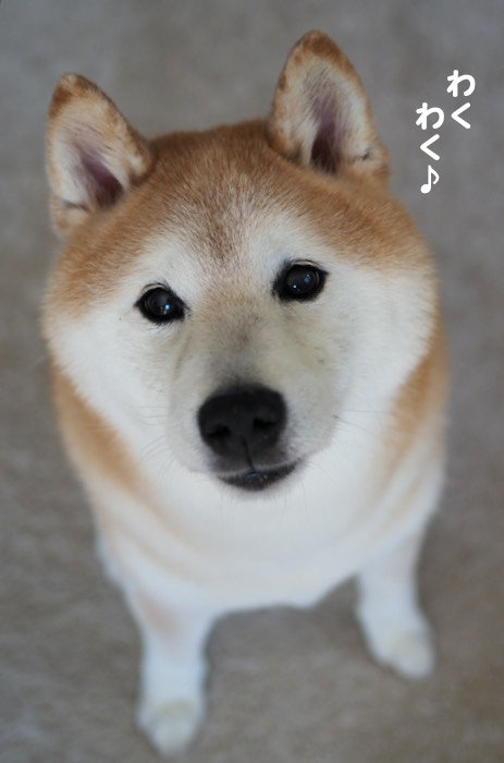 13日夕ブログ３