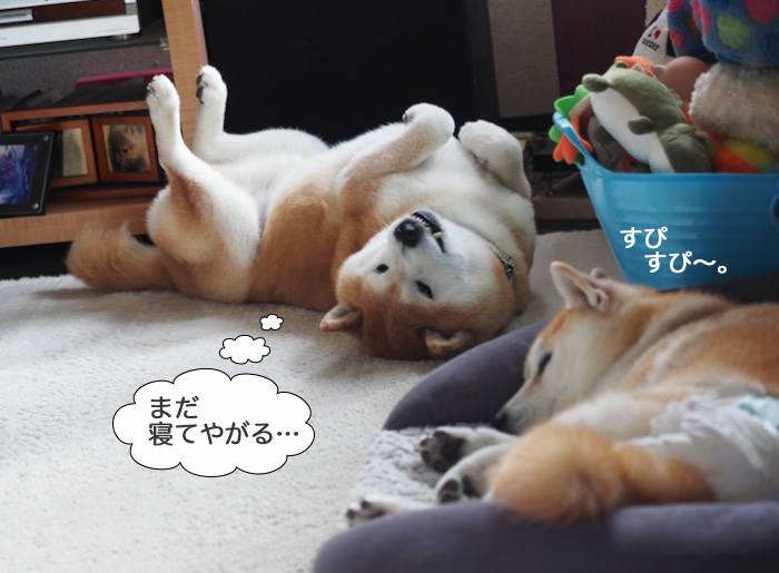 16日ブログ７