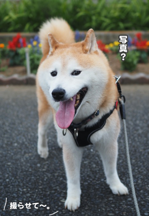 4日夕ブログ２