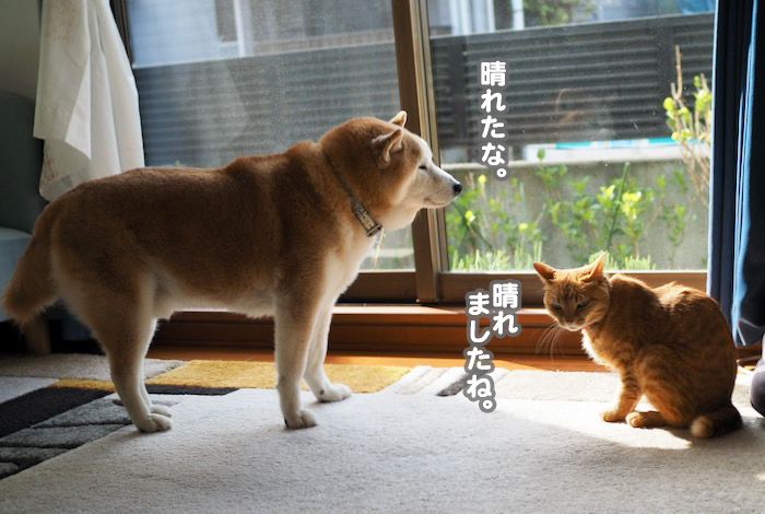 5日ブログ1
