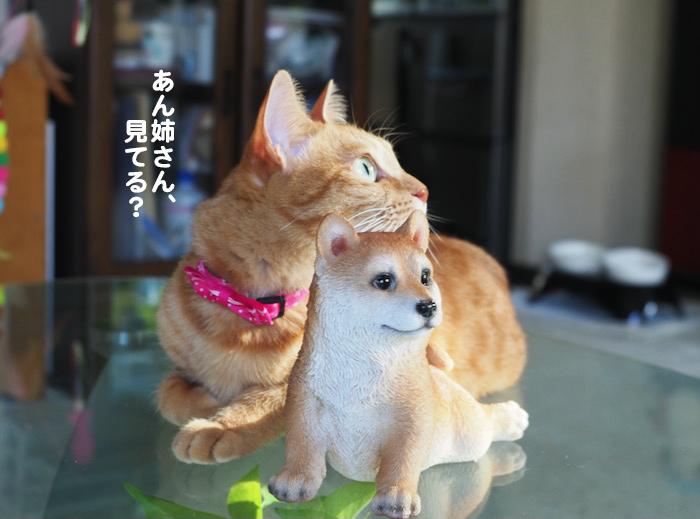 19日夕ブログ５