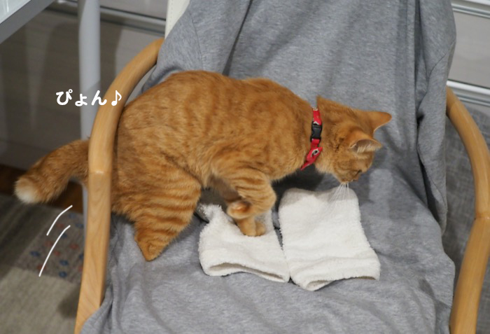 21日夕ブログ６