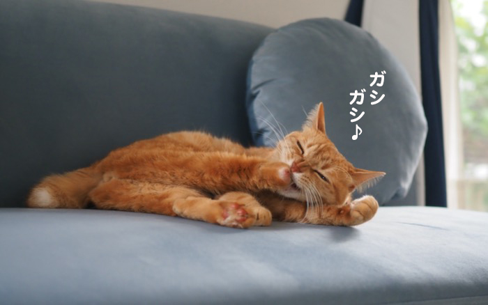 28日夕ブログ６