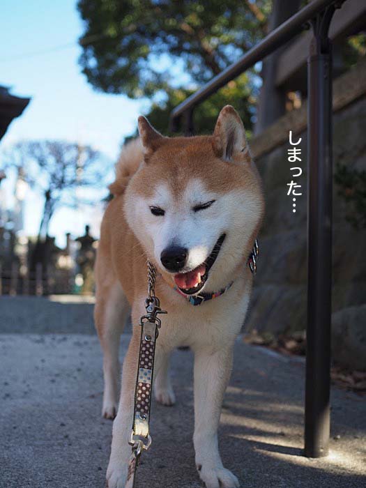 19日ブログ９