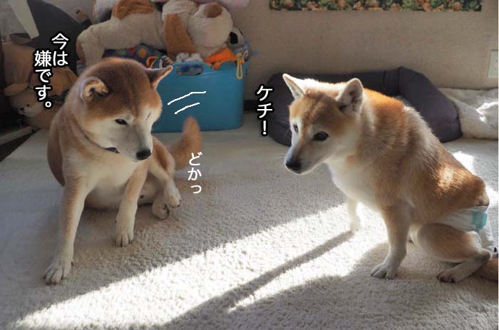6日夜ブログ１３