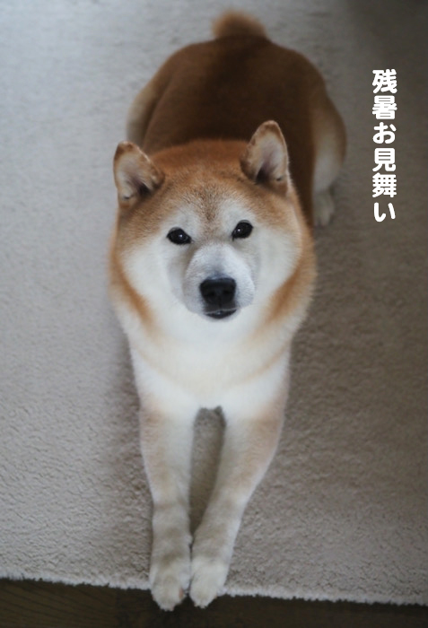 8日ブログ２