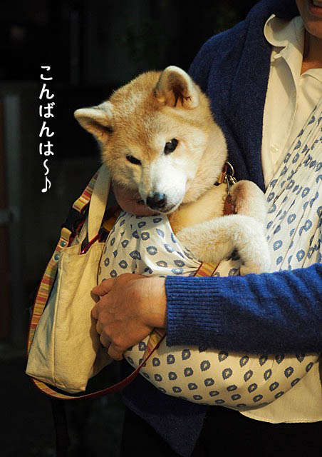 28日ブログ3