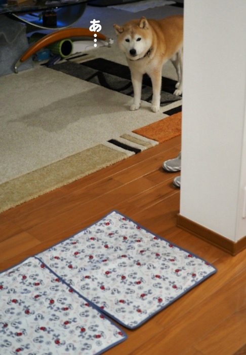 2日夕ブログ４