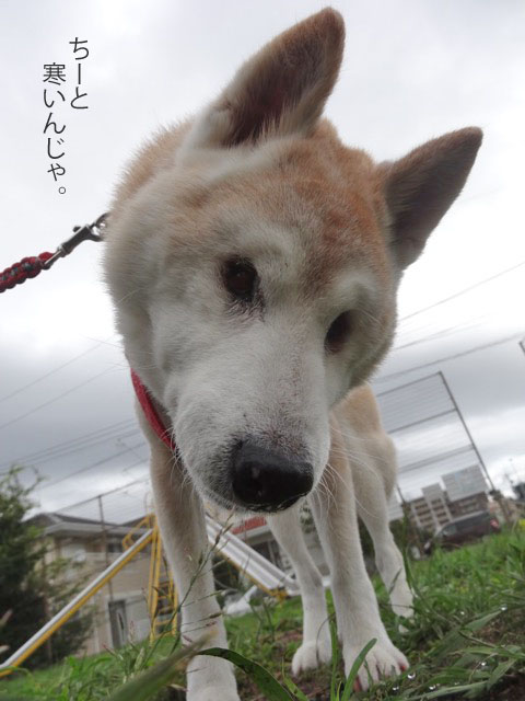 22日ブログ2